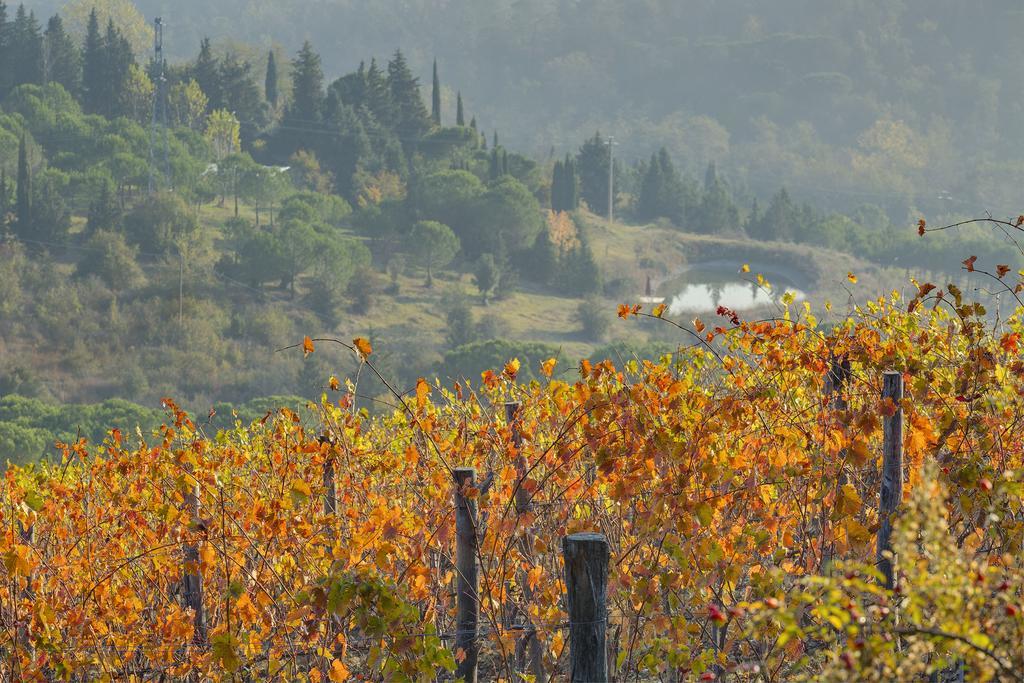 Agriturismo La Presura Strada in Chianti Exteriör bild