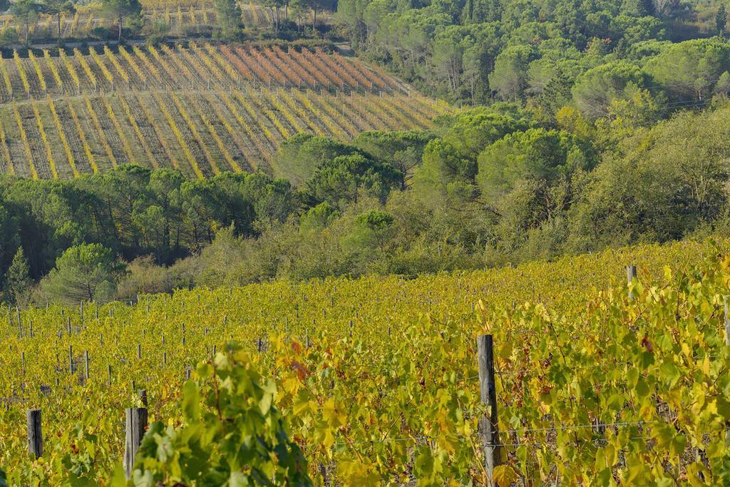 Agriturismo La Presura Strada in Chianti Exteriör bild