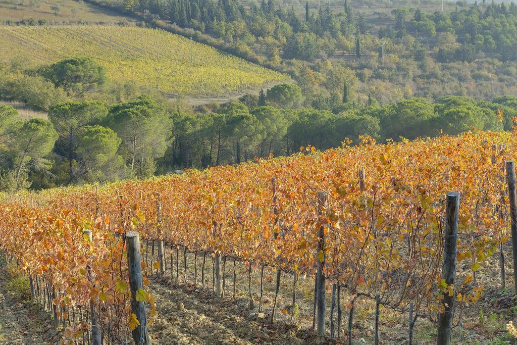 Agriturismo La Presura Strada in Chianti Exteriör bild