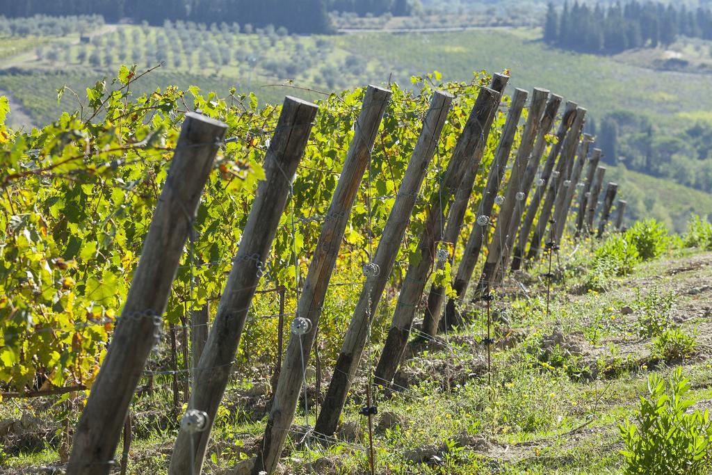Agriturismo La Presura Strada in Chianti Exteriör bild